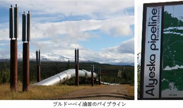 ブルドーベイ油田のパイプライン／アラスカ.jpg